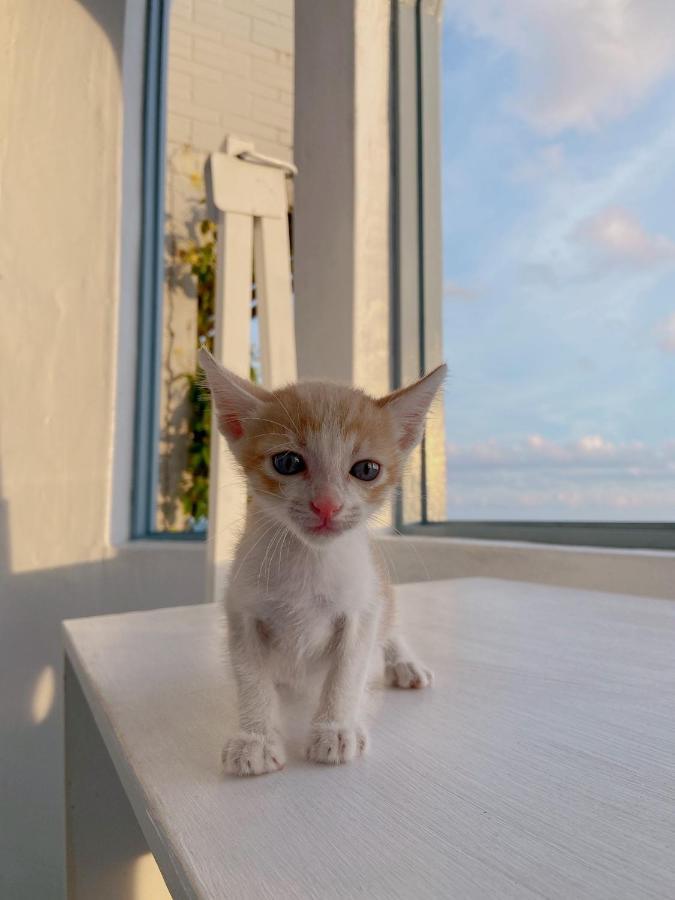 Kenting Met Hi Inn Cape Eluanbi Exterior photo